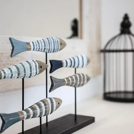 Ari - Iris * San Vincenzo