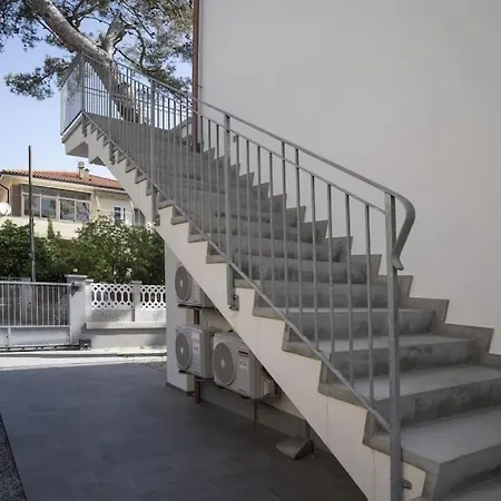 Ari - Iris * San Vincenzo